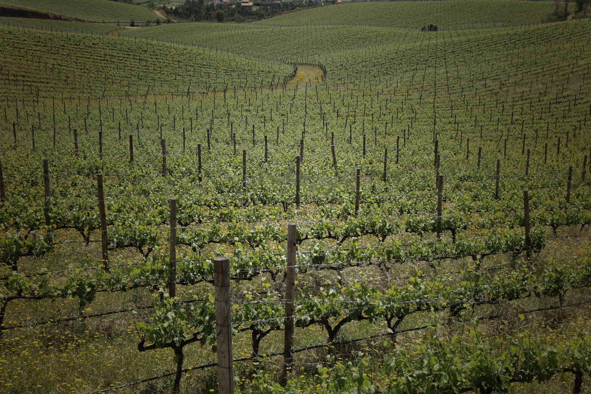 Quinta de Celorico
